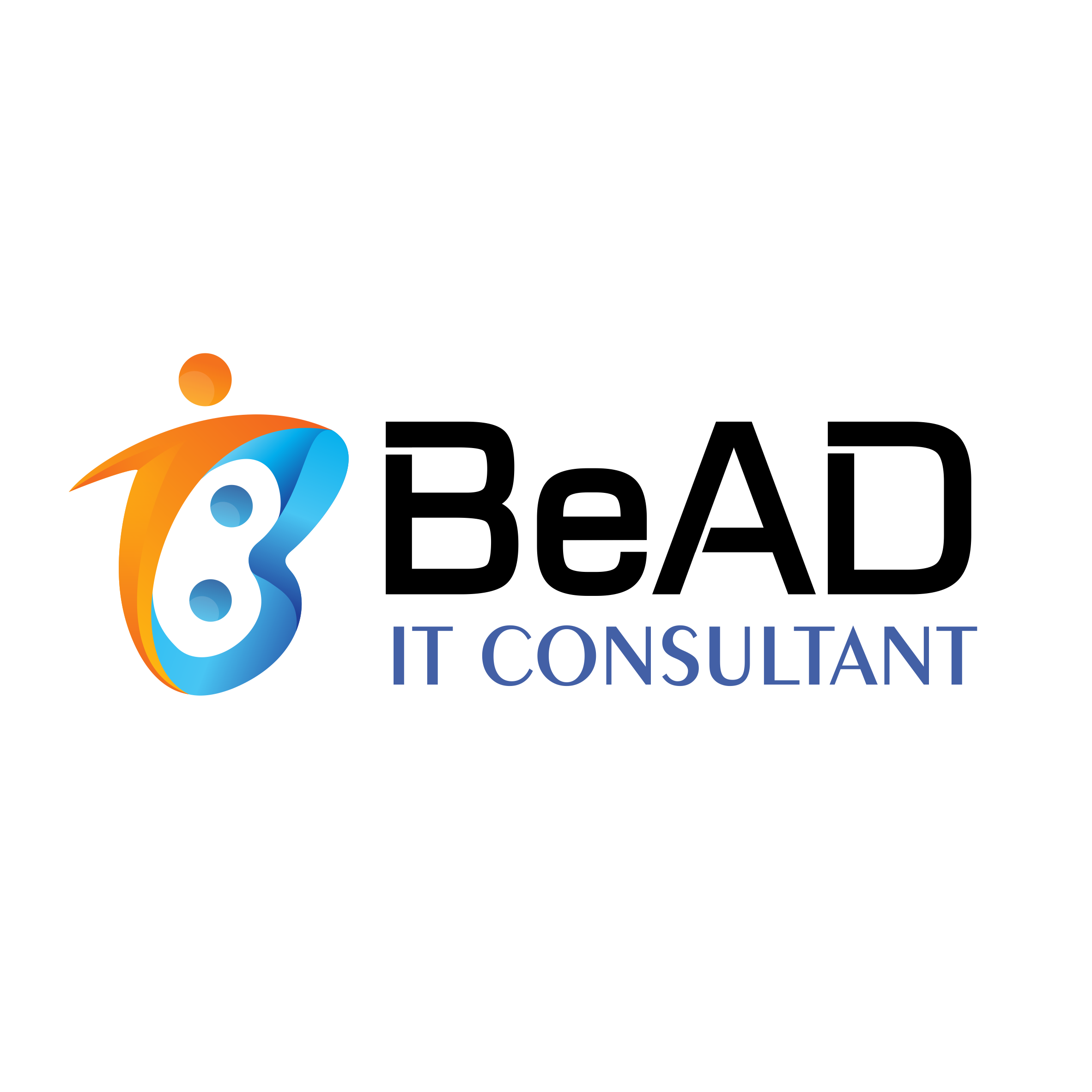 Bead IT Consultant